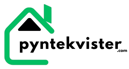 Pyntekvister