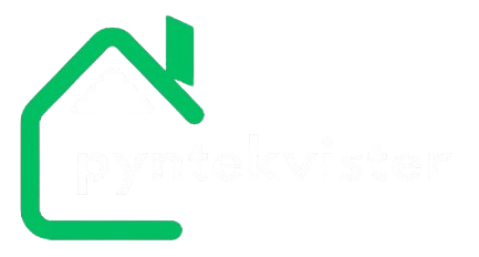 Pyntekvister